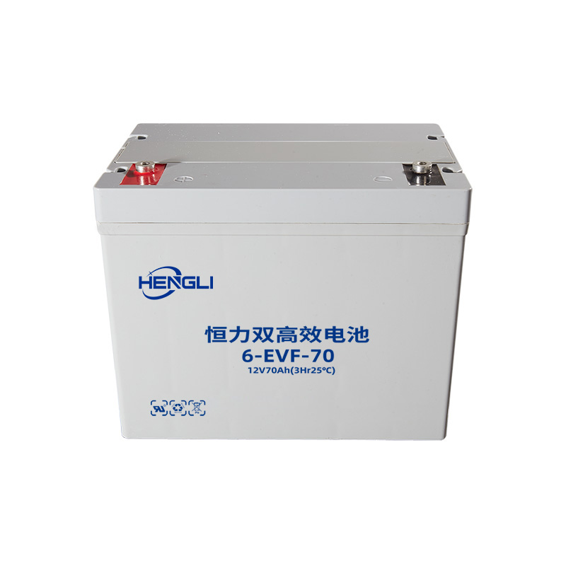 D&ograve;ng pin điện EVF